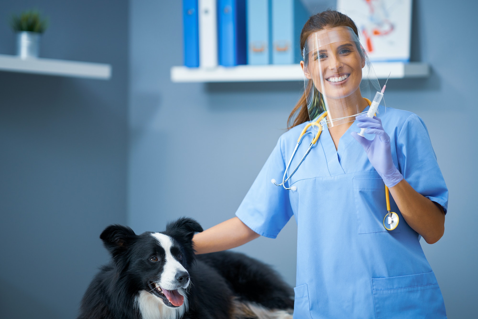 Female vet vaccinating a dog in clinic